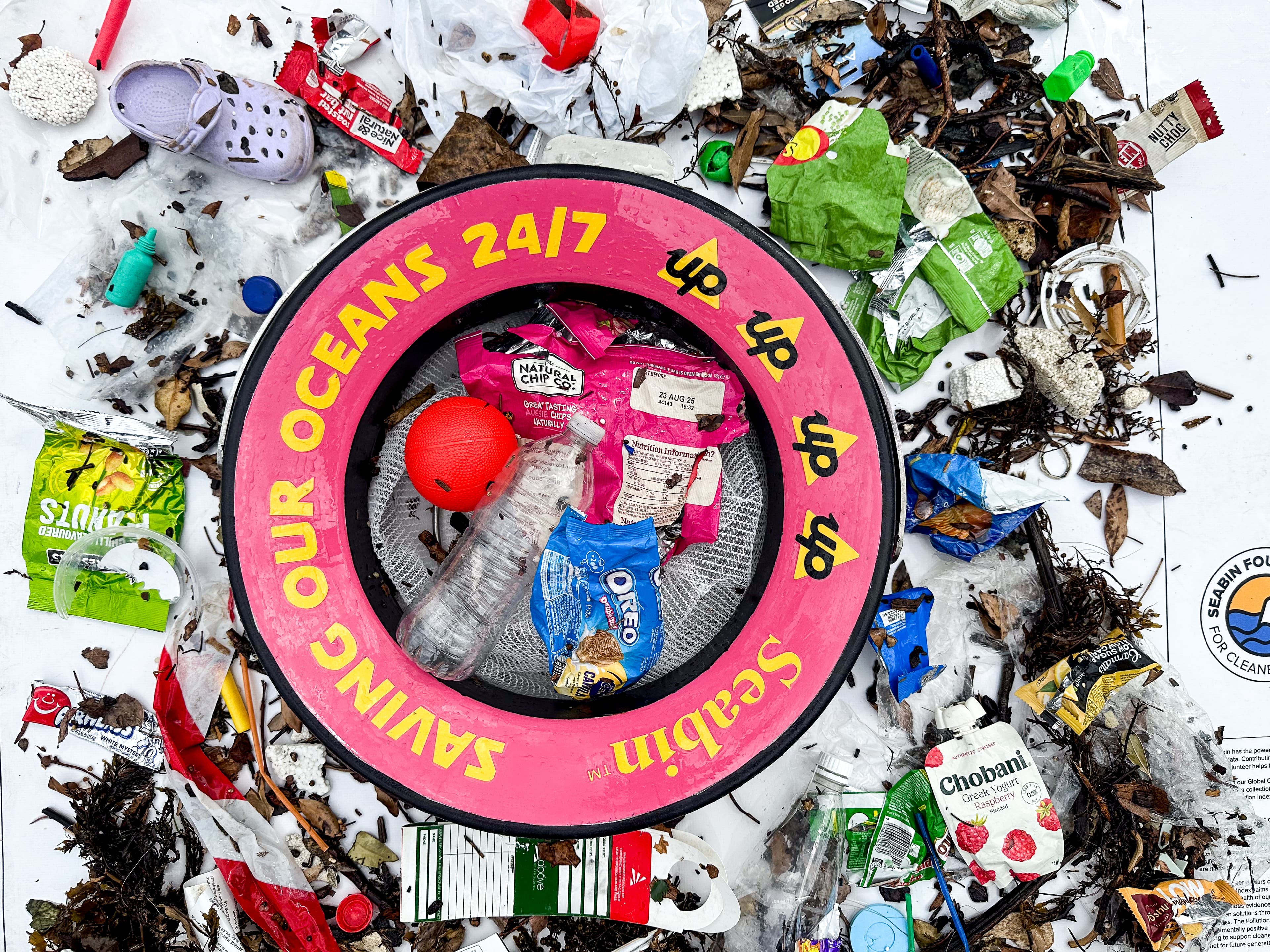 Seabin catching plastic